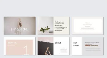 平面設(shè)計(jì)的全面審視 從PPT制作到專業(yè)素養(yǎng)的探討